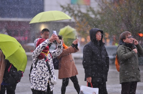 哈尔滨下雪了，景色太美了