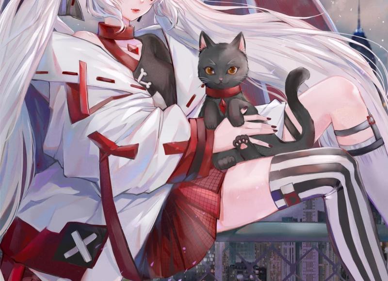 婆婆替儿子求复婚，惨遭前儿媳拆台：没人养老了才想到我，晚了