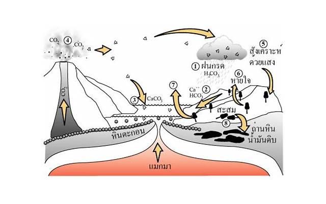理性和感性的区别在哪