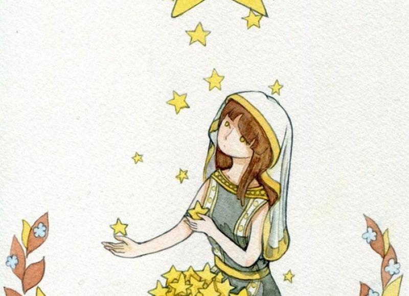 挽回是什么花的花语