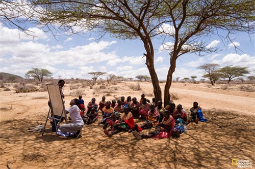 稀有细纹斑马的命运掌握在人类手中