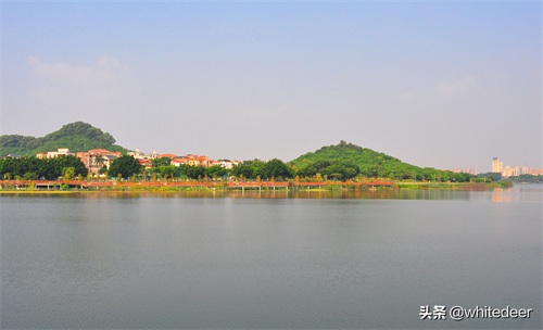 随拍公园 - 环湖游走 深圳立新湖公园