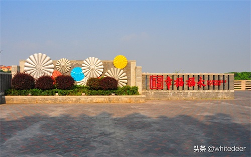 随拍公园 - 环湖游走 深圳立新湖公园