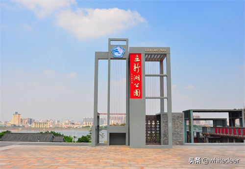 随拍公园 - 环湖游走 深圳立新湖公园