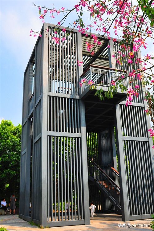 随拍公园 - 环湖游走 深圳立新湖公园