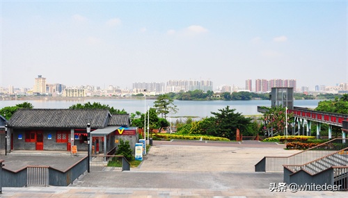 随拍公园 - 环湖游走 深圳立新湖公园