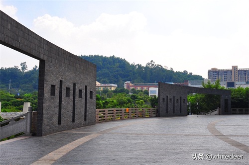 随拍公园 - 环湖游走 深圳立新湖公园