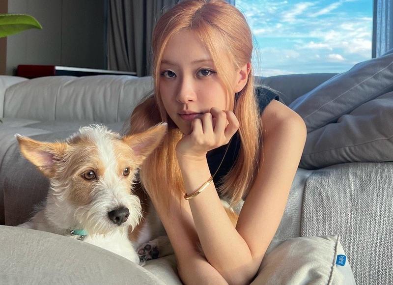 女儿婚礼父亲的致辞惊艳全场