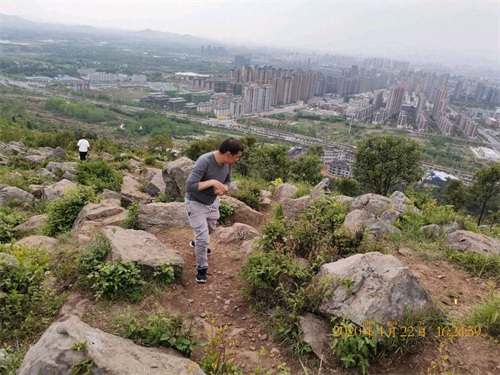 野生蕨菜怎么炒好吃?