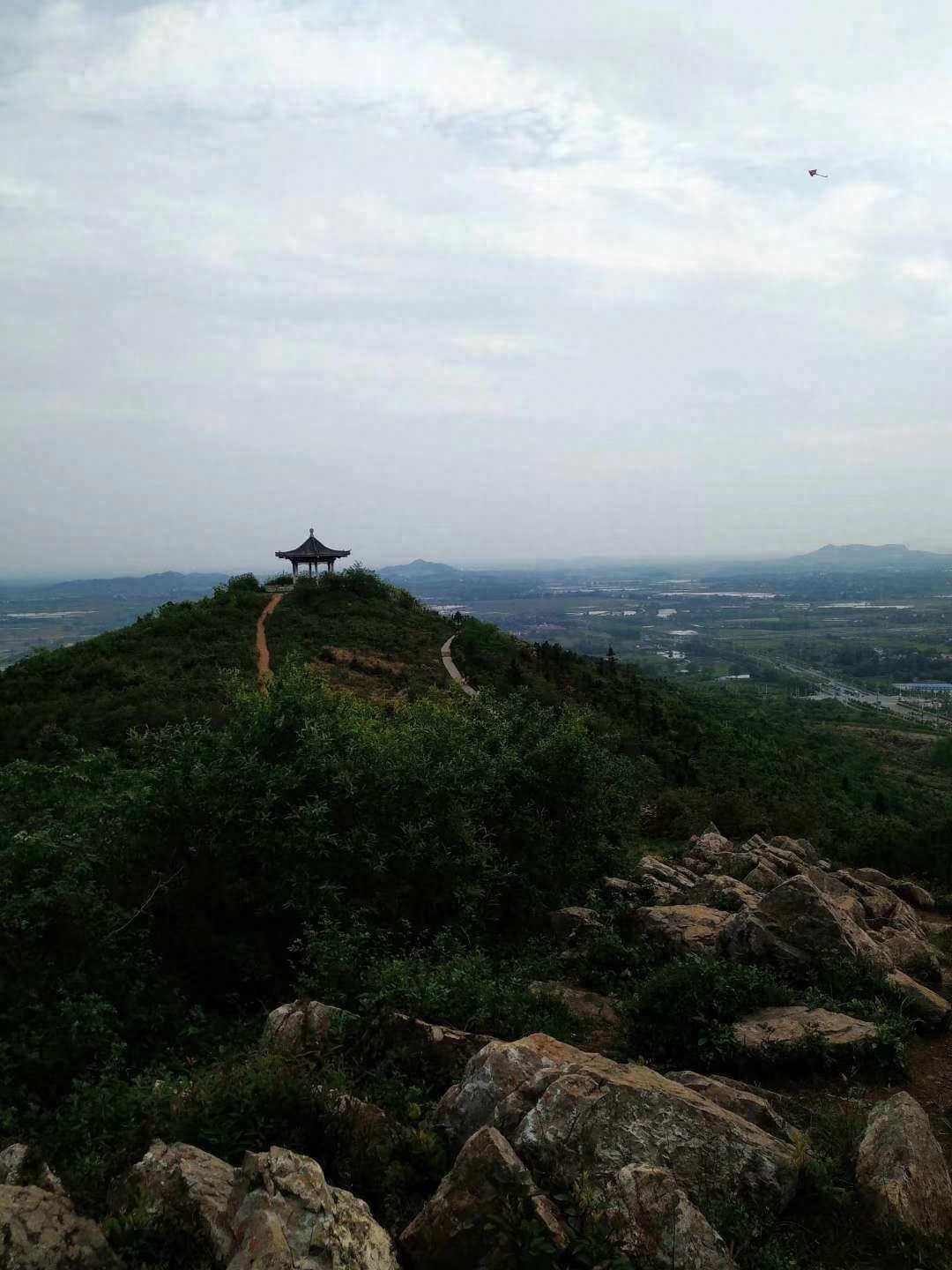 野生蕨菜怎么炒好吃?