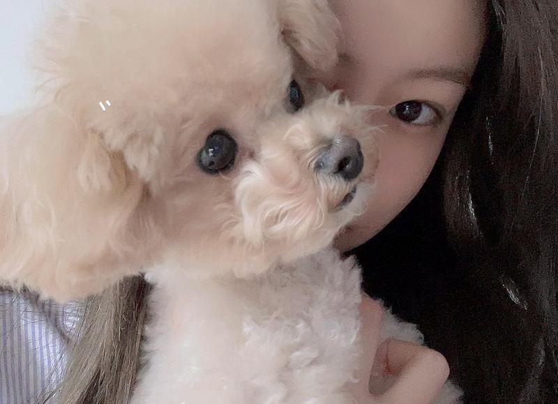 爱情唯美一句话签名