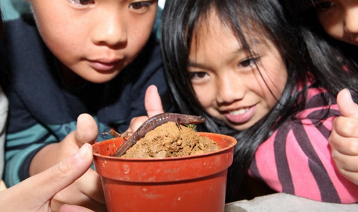 校长抓回一条“阿里山山椒鱼”，前肢有4指，后肢有5趾
