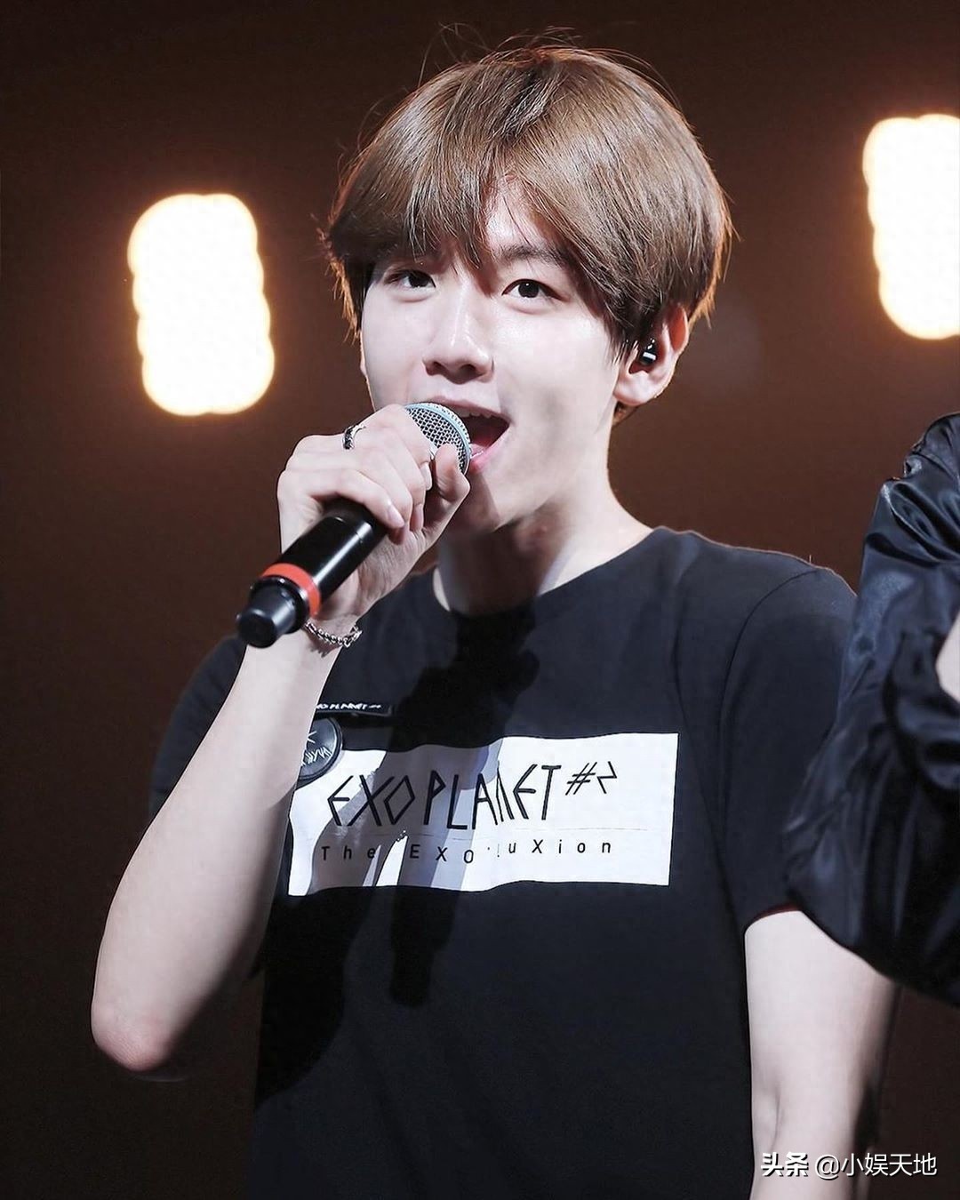 EXO伯贤图片合集，可可爱爱的啵啵虎，可盐可甜的阳光大男孩